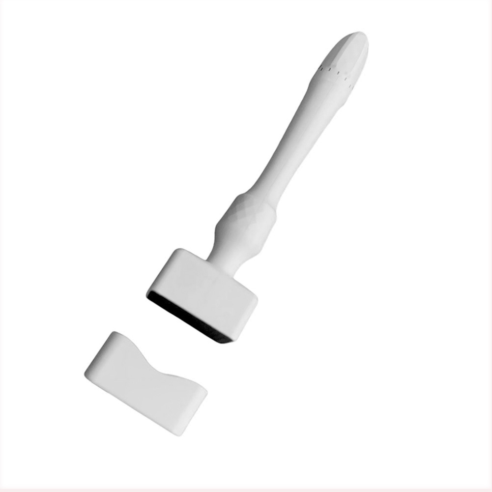 Professional Derma Stamp Rolle - Derma Roller 0.25 reseña y precio